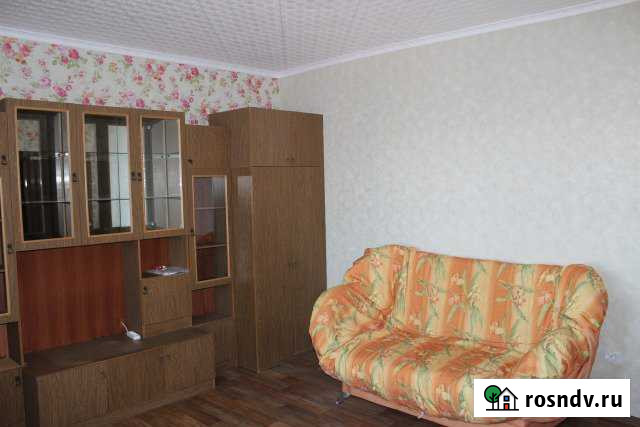 1-комнатная квартира, 40 м², 9/9 эт. в аренду на длительный срок в Александрове Александров - изображение 1