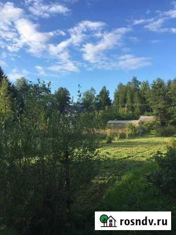 Участок СНТ, ДНП 6 сот. на продажу в Любане Любань - изображение 1