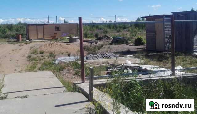Участок СНТ, ДНП 10 сот. на продажу в Сосновом Бору Сосновый Бор - изображение 1