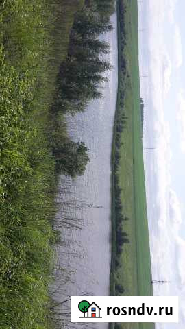 Участок СНТ, ДНП 900 сот. на продажу в Скопине Скопин - изображение 1