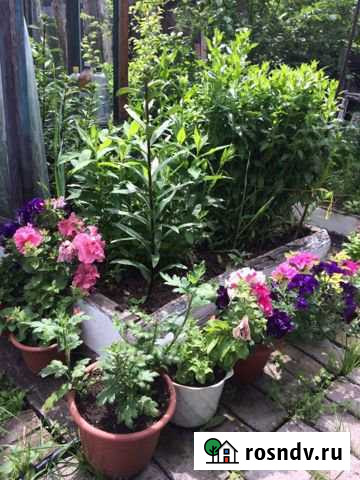 Дача 20 м² на участке 4 сот. на продажу в Слюдянке Слюдянка - изображение 1