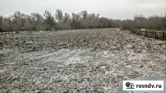 Участок ИЖС 36 сот. на продажу в Чернышковском Чернышковский - изображение 1