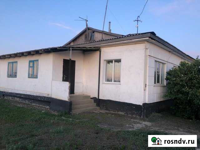 Дом 70 м² на участке 8 сот. на продажу в Беляевке Беляевка - изображение 1