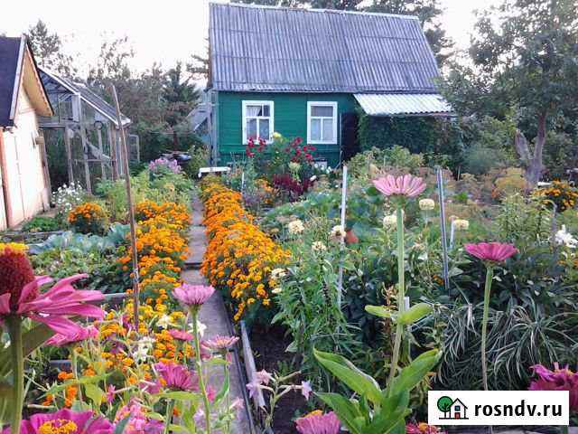 Дача 20 м² на участке 4.8 сот. на продажу в Глазове Глазов - изображение 1