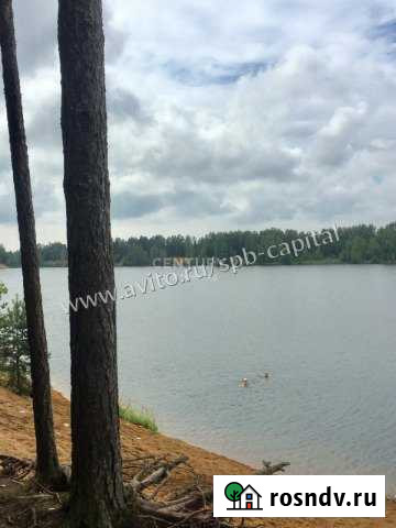 Участок СНТ, ДНП 11 сот. на продажу в Сосновом Бору Сосновый Бор - изображение 1