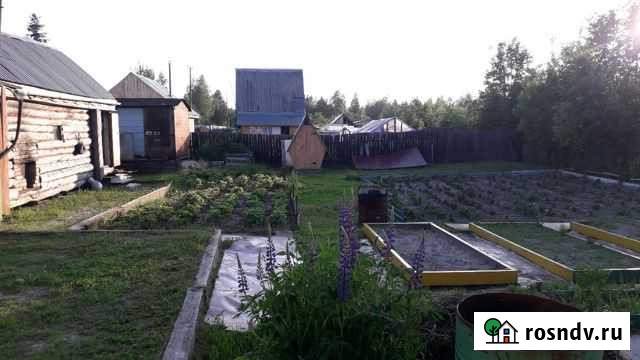 Участок СНТ, ДНП 6 сот. на продажу в Пыть-Яхе Пыть-Ях - изображение 1