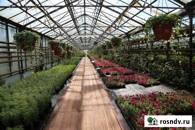 Помещение свободного назначения(теплица) 1036 кв.м. Котельники - изображение 1