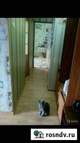 2-комнатная квартира, 45 м², 5/9 эт. на продажу в Балабаново Балабаново - изображение 1