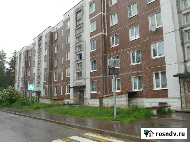 2-комнатная квартира, 55 м², 4/5 эт. на продажу в Каменногорске Каменногорск - изображение 1