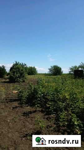 Участок СНТ, ДНП 10 сот. на продажу в Больших Салах Большие Салы - изображение 1