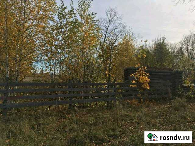 Участок ИЖС 30 сот. на продажу в Морках Морки - изображение 1