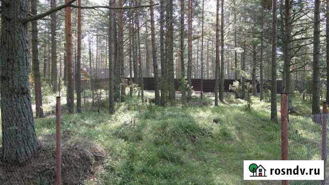 Участок ИЖС 12 сот. на продажу в Гдове Гдов - изображение 1