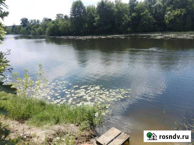 Участок ИЖС 30 сот. на продажу в Данкове Данков - изображение 1