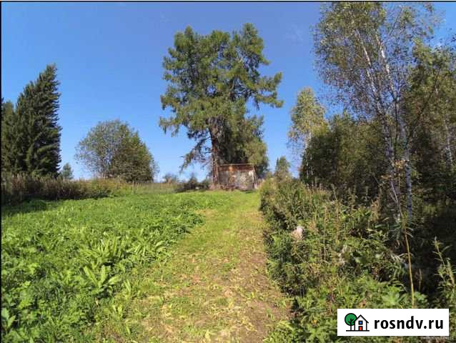 Дом 20 м² на участке 20 сот. в аренду посуточно в Екатеринбурге Екатеринбург - изображение 1