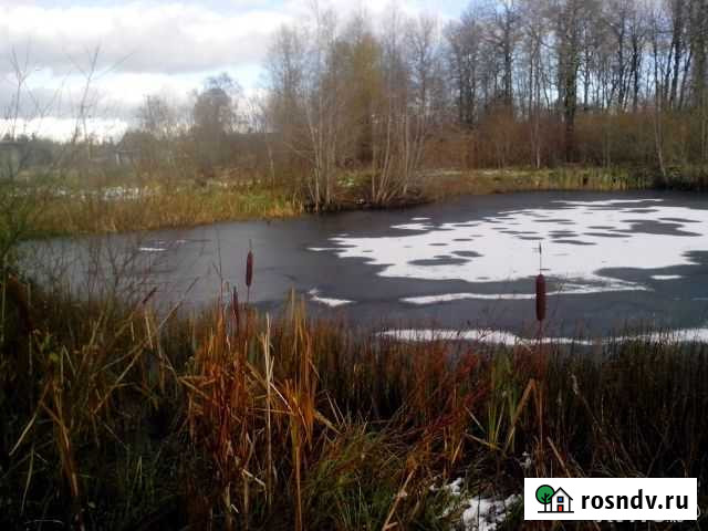 Участок ИЖС 15 сот. на продажу в Бегуницах Бегуницы - изображение 1