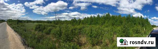 Участок СНТ, ДНП 237 сот. на продажу во Всеволожске Всеволожск - изображение 1