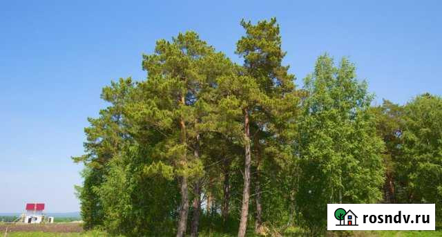 Участок СНТ, ДНП 10 сот. на продажу в Сухобузимском Сухобузимское - изображение 1