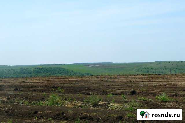 Участок СНТ, ДНП 200 сот. на продажу в Бахчисарае Бахчисарай - изображение 1