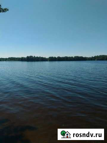 Дом 60 м² на участке 19 сот. на продажу в Шексне Шексна - изображение 1