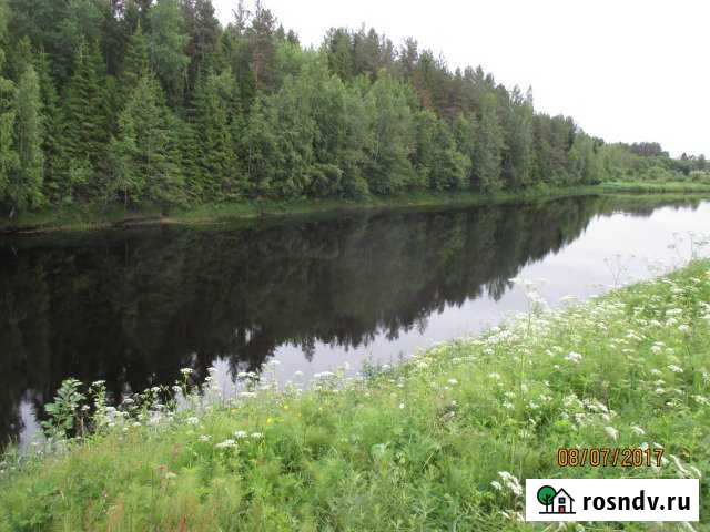 Участок ИЖС 30 сот. на продажу в Олонце Олонец - изображение 1