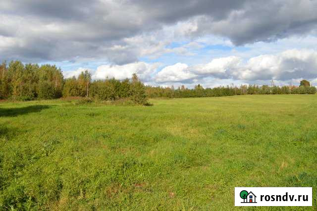 Участок СНТ, ДНП 200 сот. на продажу в Рощино Ленинградской области Рощино - изображение 1