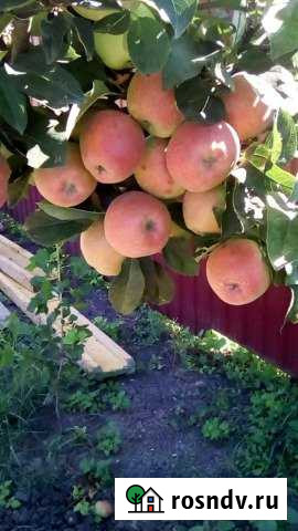 Участок ИЖС 15 сот. на продажу в Гостагаевской Гостагаевская - изображение 1