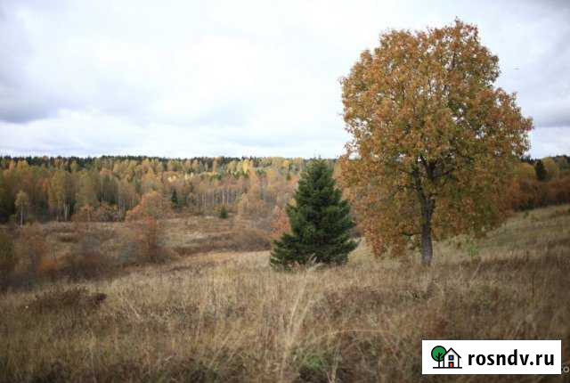 Участок ИЖС 60 сот. в аренду в Валдае Валдай - изображение 1