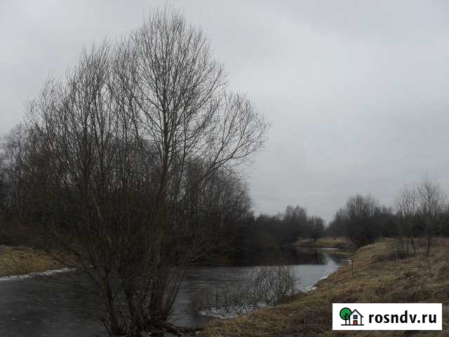 Дом 50 м² на участке 46 сот. на продажу в Бежаницах Бежаницы - изображение 1