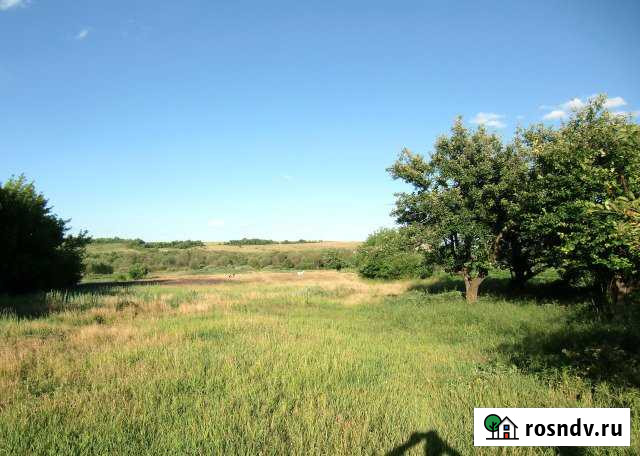 Участок ИЖС 42 сот. на продажу в Горшечном Горшечное - изображение 1