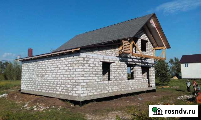 Дом 150 м² на участке 12 сот. на продажу в Лебяжьем Алтайского края Лебяжье - изображение 1