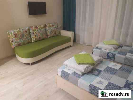 1-комнатная квартира, 28 м², 2/9 эт. в аренду посуточно в Златоусте Златоуст