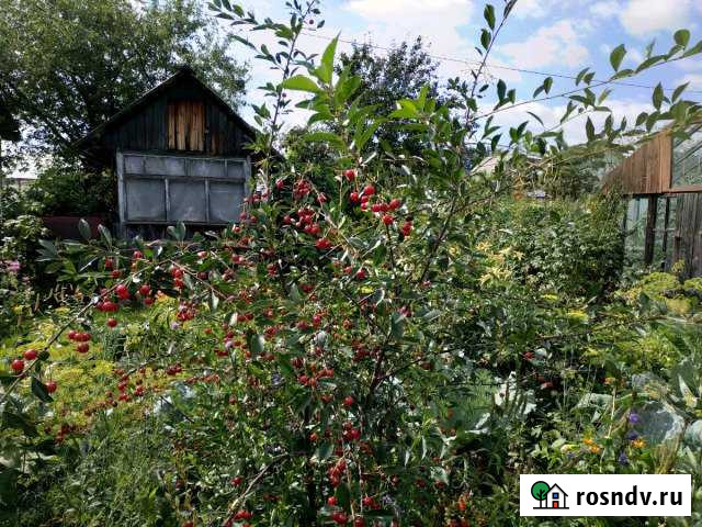 Участок СНТ, ДНП 6 сот. на продажу в Реже Реж - изображение 1