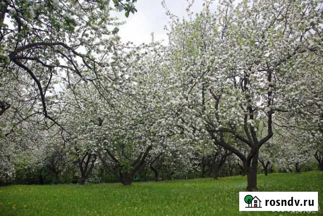 Участок ИЖС 18 сот. на продажу в Городце Городец - изображение 1