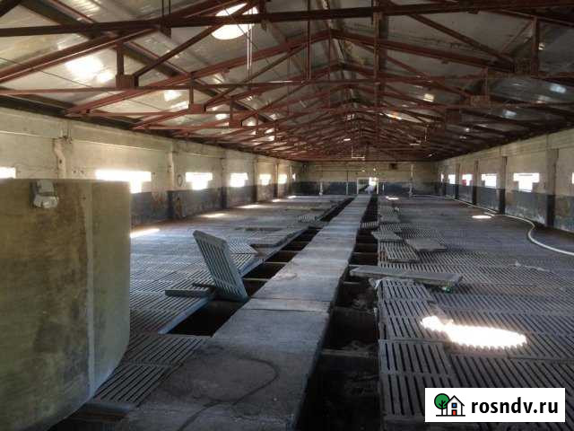 Производственные помещения Новый Свет - изображение 1