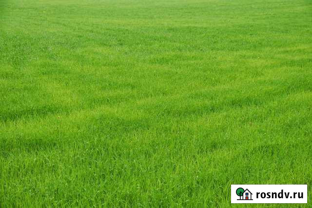 Участок ИЖС 40 сот. на продажу в Кирово-Чепецке Кирово-Чепецк - изображение 1