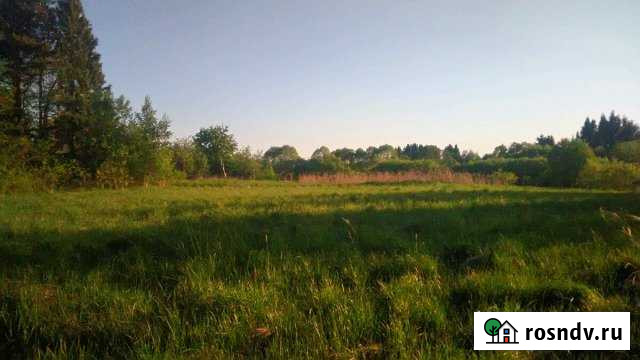 Участок ИЖС 50 сот. на продажу в Невеле Невель - изображение 1