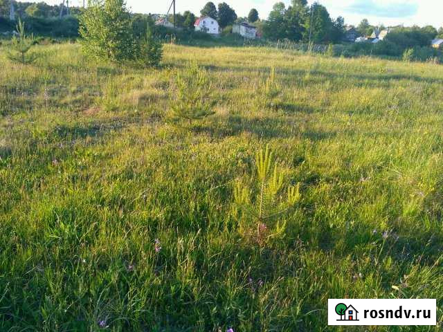 Участок ИЖС 12 сот. на продажу в Бурмакино Бурмакино - изображение 1