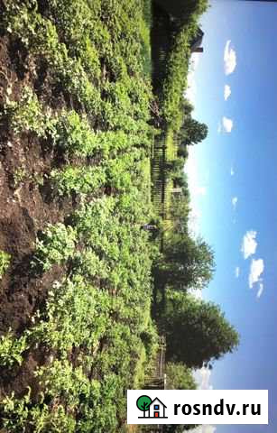 Участок СНТ, ДНП 8 сот. на продажу в Шарыпово Шарыпово - изображение 1