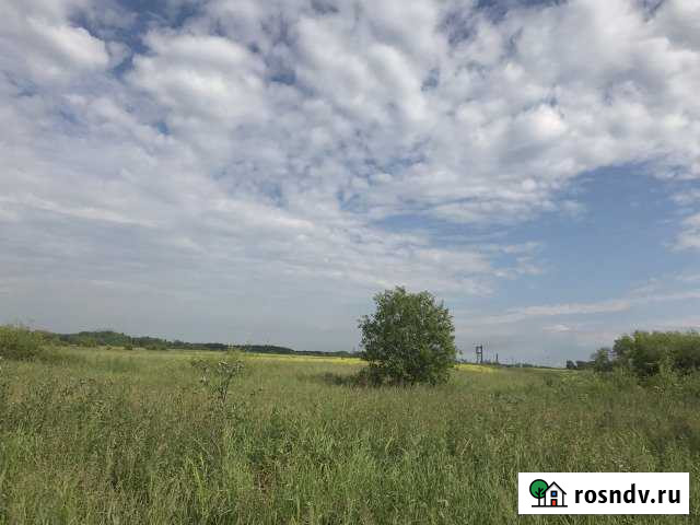 Участок СНТ, ДНП 600 сот. в аренду в Перми Пермь - изображение 1