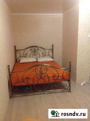 1-комнатная квартира, 35 м², 5/9 эт. в аренду посуточно в Елабуге Елабуга - изображение 1