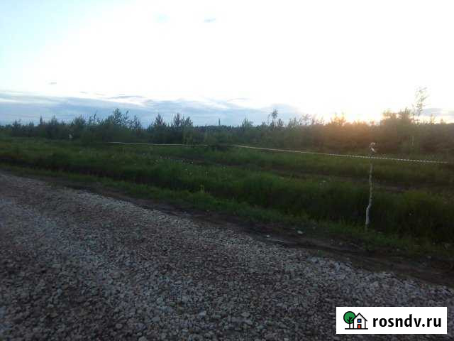 Участок ИЖС 20 сот. на продажу в Мурыгино Мурыгино - изображение 1