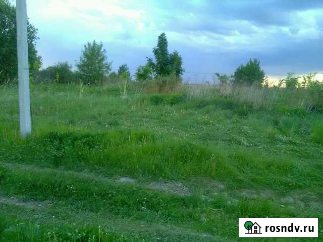 Участок ИЖС 6 сот. на продажу в Новосиньково Новосиньково - изображение 1