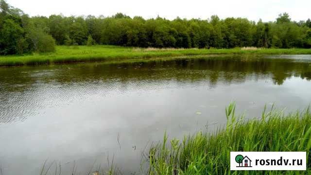 Участок ИЖС 15 сот. на продажу в Кашине Кашин - изображение 1