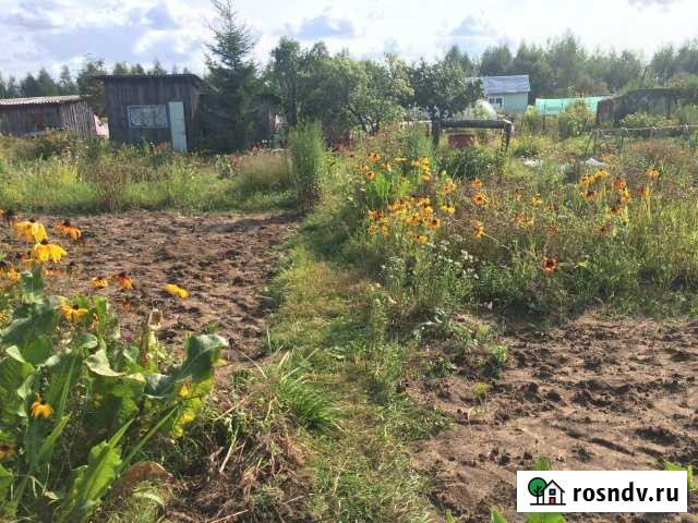 Участок СНТ, ДНП 5 сот. на продажу в Киржаче Киржач - изображение 1