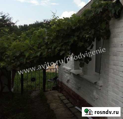 Дом 36 м² на участке 24 сот. на продажу в Томаровке Томаровка - изображение 1