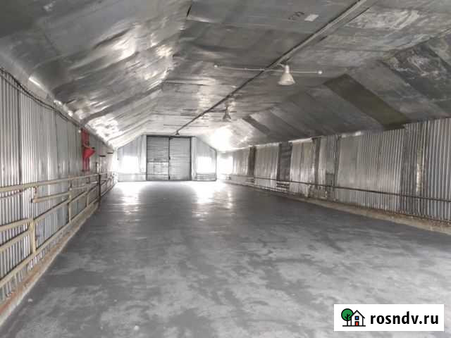 Отапливаемое помещение, 300кв.м. Кран-балка Казань - изображение 1