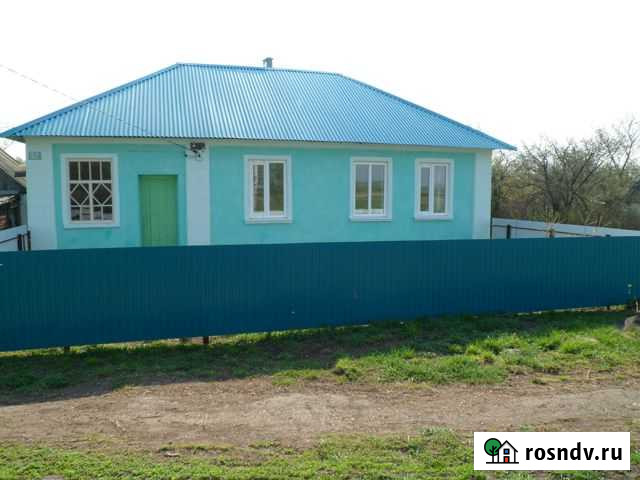 Дом 60 м² на участке 40 сот. на продажу в Плавице Плавица - изображение 1