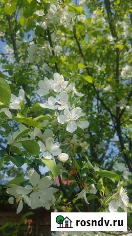 Дача 30 м² на участке 7 сот. на продажу в Кольцово Кольцово - изображение 1