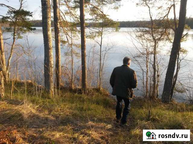 Участок СНТ, ДНП 1730 сот. на продажу в Лахденпохье Лахденпохья - изображение 1