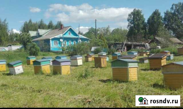 Дача 200 м² на участке 99 сот. на продажу в Юрьевце Юрьевец - изображение 1